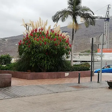 Vacaciones Torreón Costa Adeje (Tenerife)