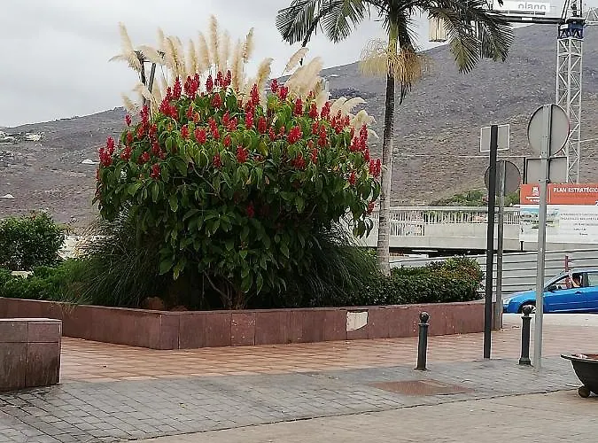 Vacaciones Torreon Адехе